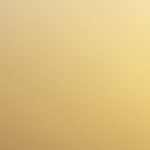 パン教室の先生の名刺デザインのポイントを解説