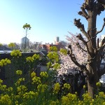 デザインを作成する前に読んでほしいブログを立ち上げました