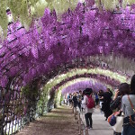 本格始動です！