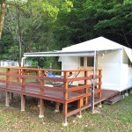 今年初めての半袖