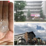 自然の営みってすごいっす