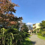 ぬくぬく＆黙々と事務所で作業