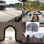 京都に行っていました