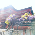 忙しくなってきたぞ〜