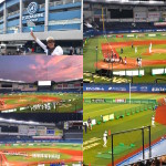 ソフトボールの世界戦を観に行きました