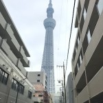 機嫌がいい状態でいること