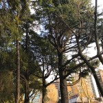 ハットツール通信の取材に行ってきました