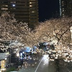 ですよね〜（＾＾）