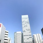 やっと晴れた〜〜