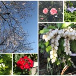 ふと気がつくと