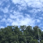 スケジュールを明確にする