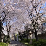 デザイナーは体が資本です