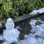 今日は路面がツルンツルン