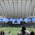 WBCベースボールを観にいってきました