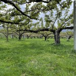 事務所を引っ越しました