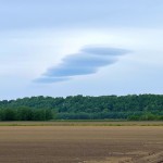 リフレッシュしました